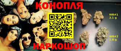 apvp Тулун