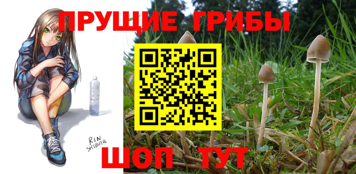 Надым  Псилоцибиновые грибы GOLDEN TEACHER  Вход с VPN 